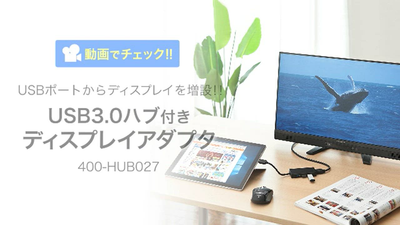 SANWA SUPPLY USB HDMI 変換 アダプタ USB3.0 USBハブ