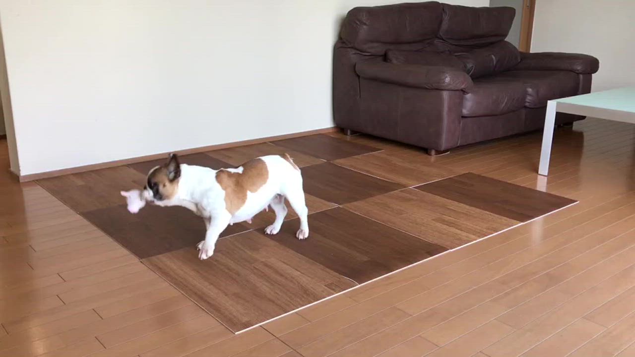 日本製 クッションフロア ペット 消臭 フロアマット 45×60cm 微