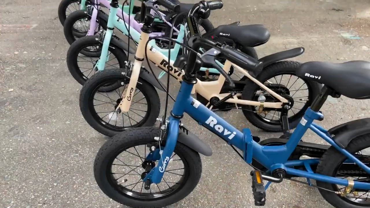 EIZER 子供用 折りたたみ 自転車 14インチ 16インチ 子供自転車