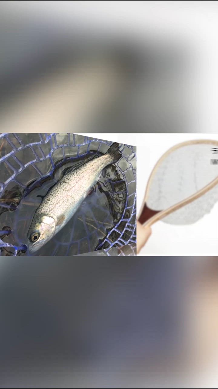 ランディングネット 網 シリコンラバーネット 渓流 管釣り Mサイズ オルルド釣具 送料無料 | オルルド釣具 | 08