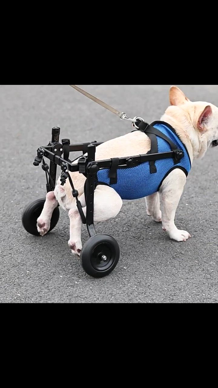 犬用車椅子 犬用歩行器 ペット車椅子 歩行補助 犬用カート