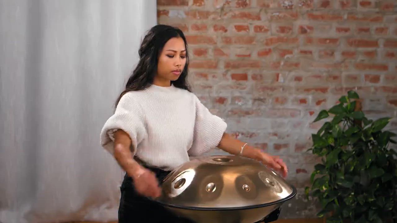 MEINL Sonic Energy ハンドパン HPSTL100〔D Kurd：D / A Bb