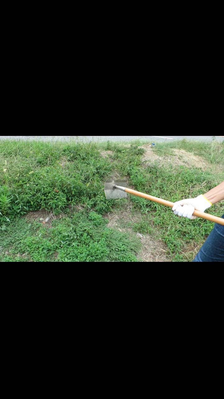 大進 雑草根こそぎレーキ と 熊手 セット 草刈りレーキ 草取り 道具 立ったまま 草取り器 立っ た まま 庭 雑草むしり らくらく アルミ 女性 雑草とり 道具 |  | 21