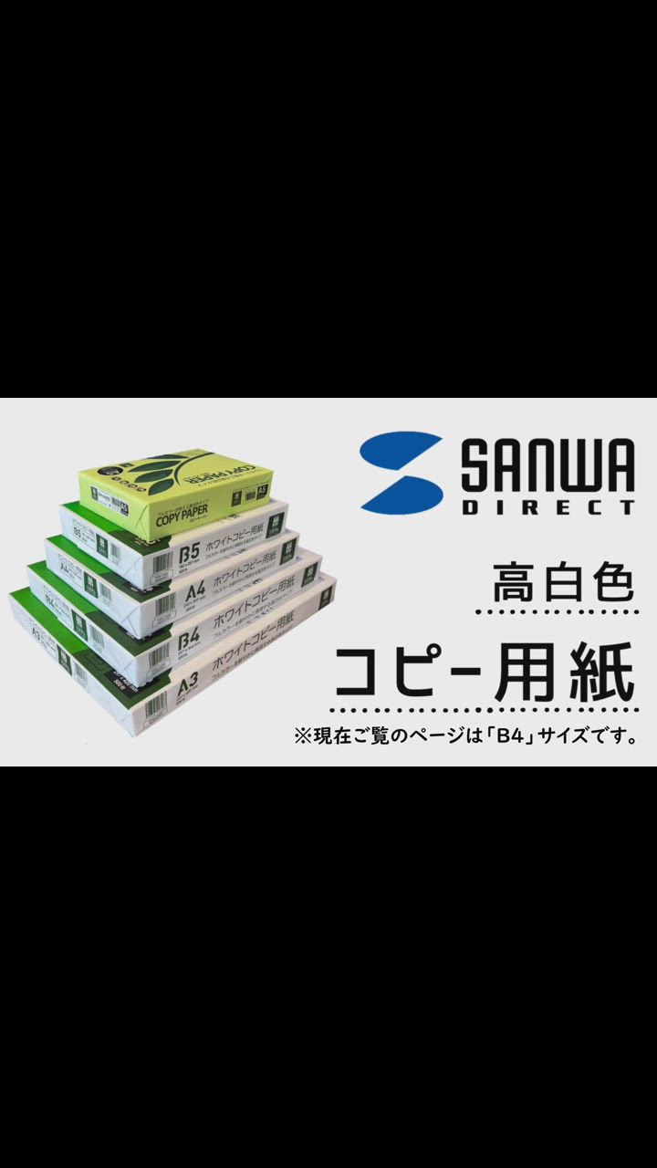 SANWA SUPPLY コピー用紙 B4 2500枚 500枚×5冊 玄関までお届け