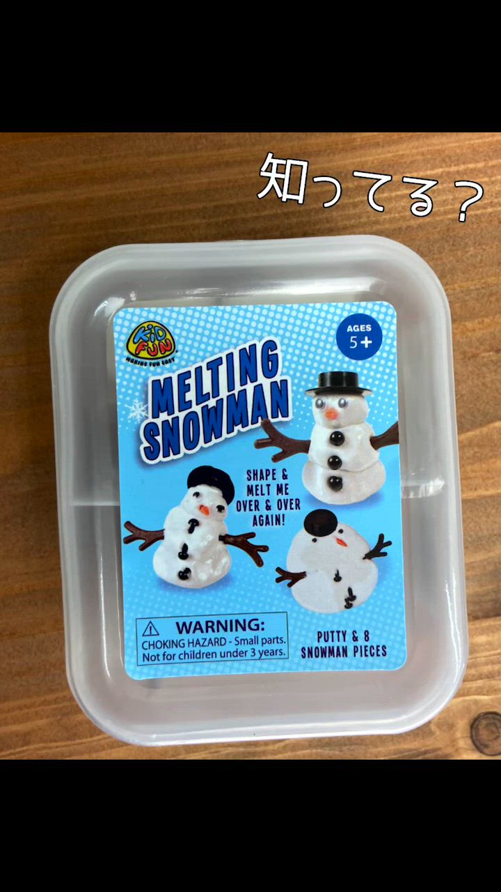 メルティング スノーマン 溶ける ゆきだるま 作成 キット 観察