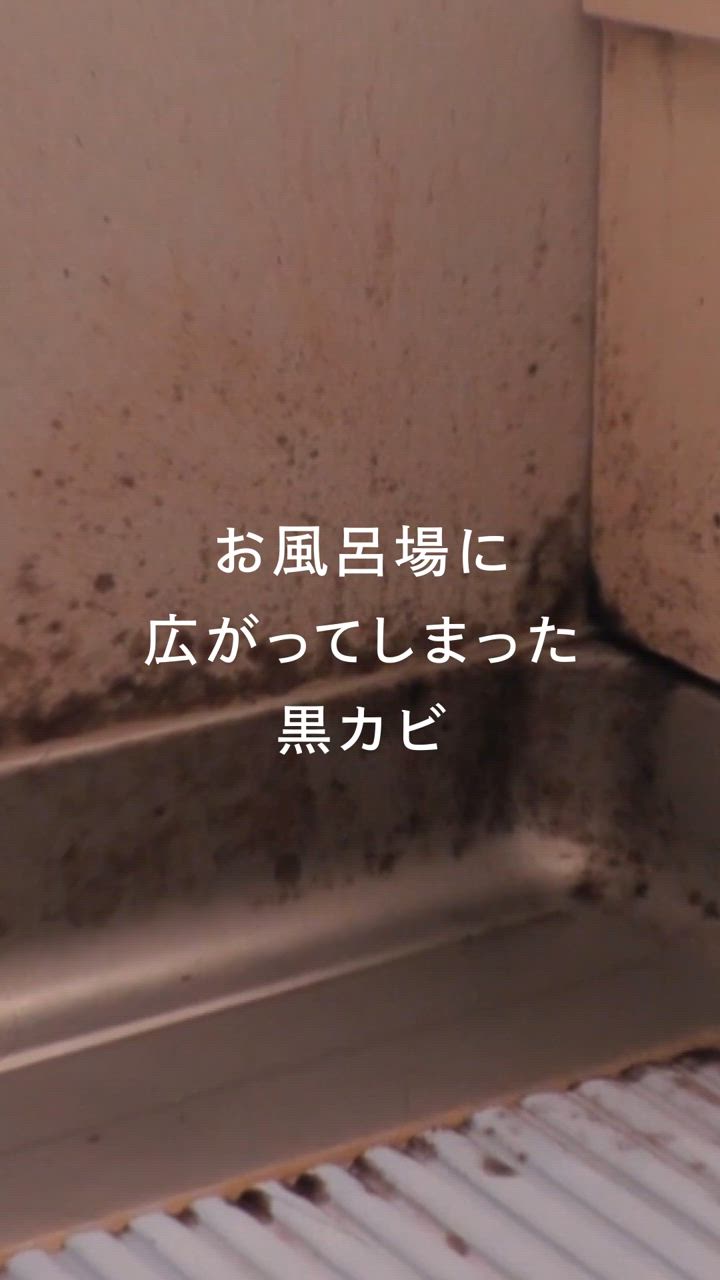 カビ取り カビ取り剤のカビホワイト カビ強力除去スプレー 450ml 壁紙 ユニットバス カーテン 砂壁 土壁 コンクリート コケ ビーワンショップ | ビーワンショップ | 09