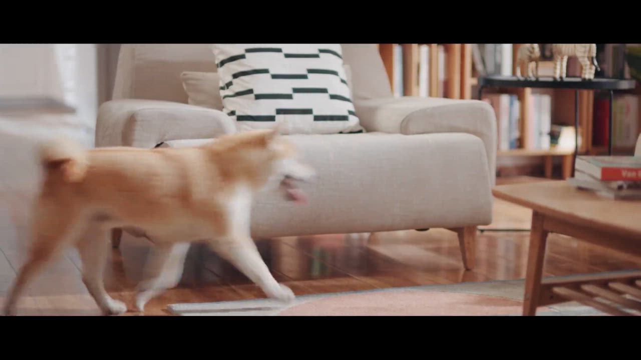 猫 猫用 無添加 ziwi ジウィピーク マッカロー 85g キャット缶 ウエットフード ウエット 正規品 幼猫 子猫 成猫 老描 体重管理 肥満 | ZIWI | 17