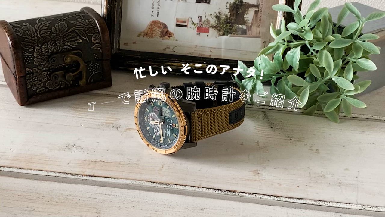 PROMASTER 本日+6倍 シチズン プロマスター ソーラー電波 エコ