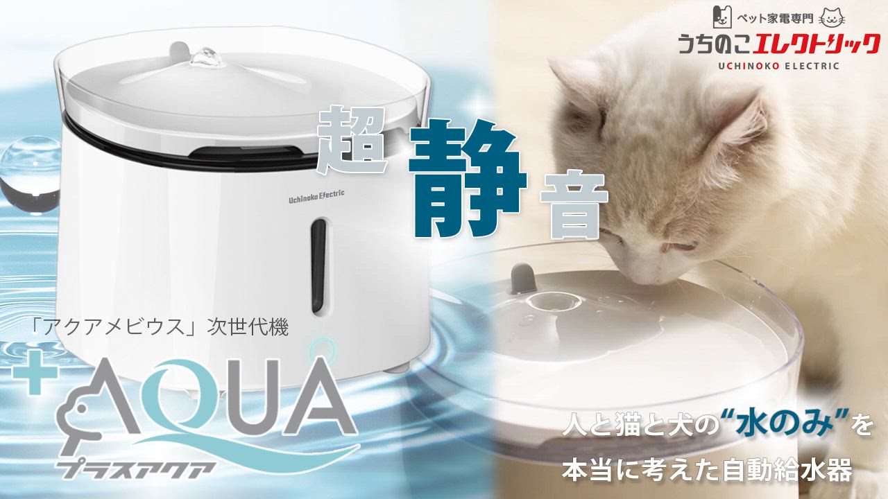 犬猫用 循環浄水給水器 プラスアクア フィルター5枚付 楽天市場】【新登場☆獣医師監修】猫・犬専用循環浄水給水器