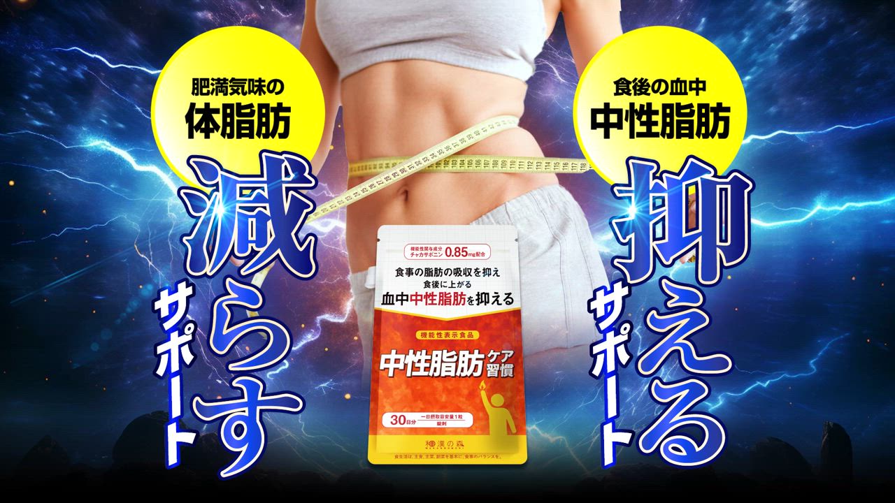 和漢の森 ダイエットサプリ 脂肪燃焼 中性脂肪 体脂肪 内臓脂肪
