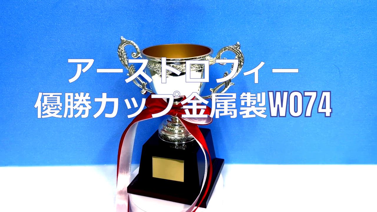 ニシ スポーツ スローイングベルト やり投げ sサイズ ニシ・スポーツ やり投げ用品｜陸上競技用具｜陸上、トラック