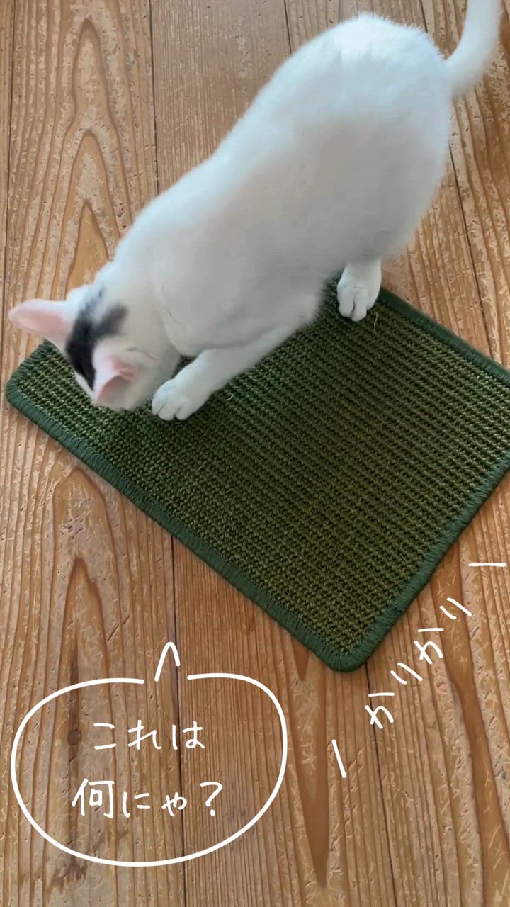 猫用スクラッチャーマット　爪とぎマット爪切り不要の爪とぎボード マット爪磨き Amazon | 新型 爪切り不要の爪とぎボード、猫 爪研ぎ 段ボール