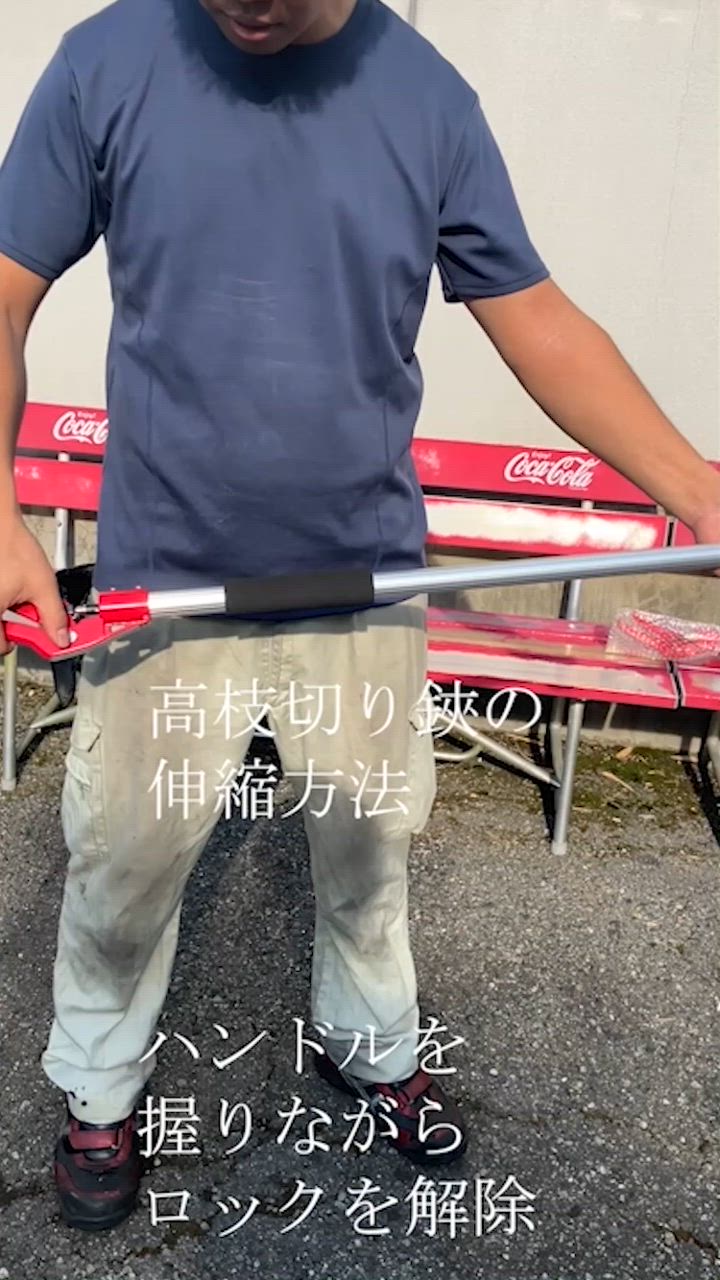 高枝切りバサミ 3m 太い枝 剪定鋏 剪定ばさみ 枝きりはさみ 高枝切鋏 高枝切りのこぎり 高枝切り鋏 高枝きりばさみ はさみ 鋏 大進 柿 カキ | DAISHIN | 15