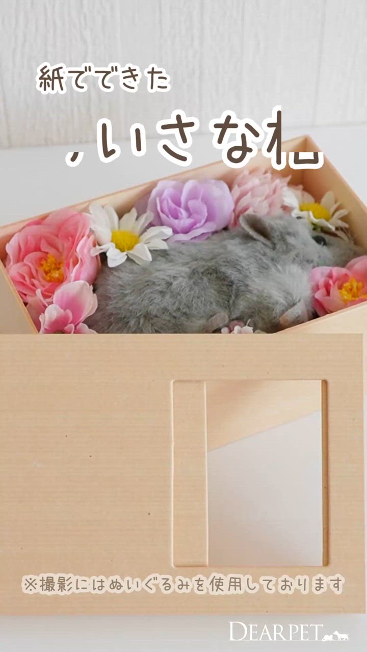 ペット用 ミニ ペット 棺 紙製 窓付き 小動物 棺桶 火葬