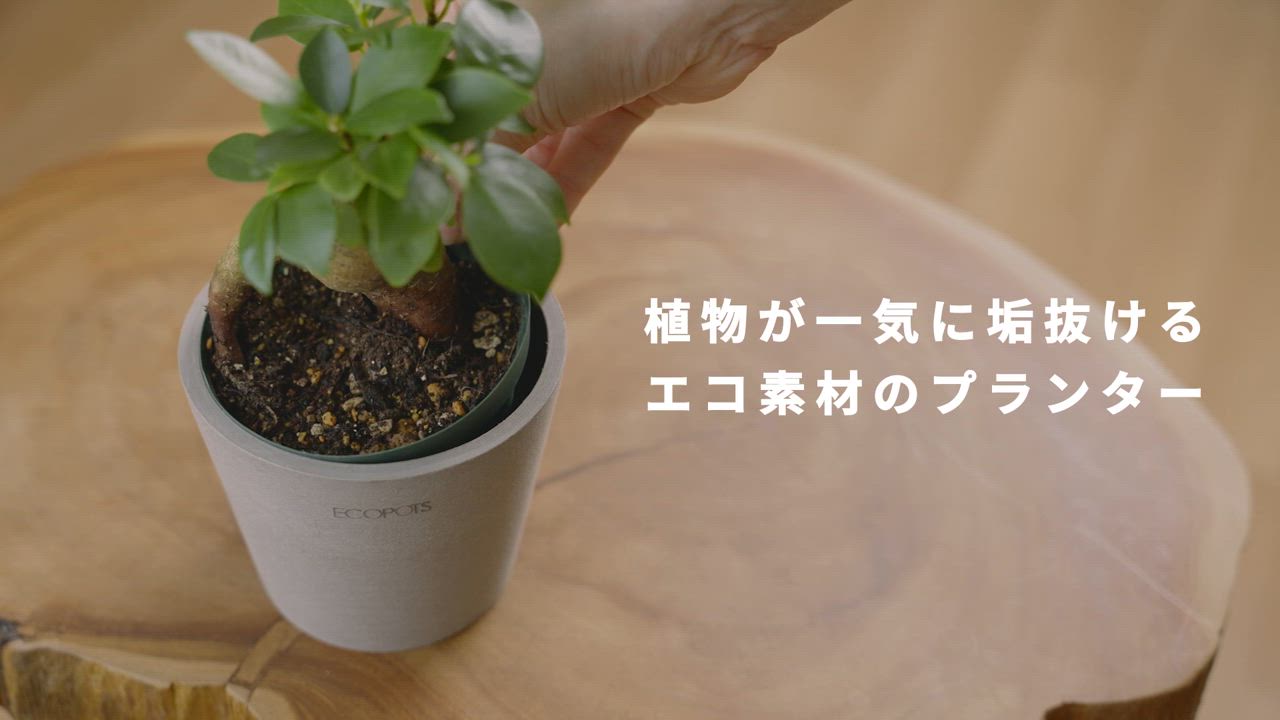 植木鉢 鉢 ecopots Oslo 12号 おしゃれ プランター 軽い