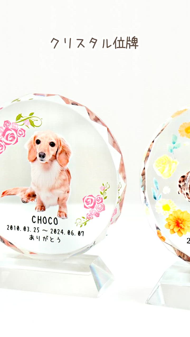 ペット仏具 ペット位牌 サークル型(大) フルカラー レース ピンク 遺影 位牌 モダン クリスタル位牌