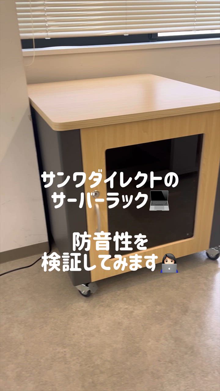 SANWA SUPPLY 防音ラック 騒音低減ラック 19インチ 12U 小型