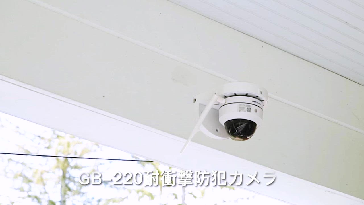 GENBOLT ネットワークカメラ GB220X GENBOLT】ドーム型防犯カメラ GB220X : NET 部品館 - 通販