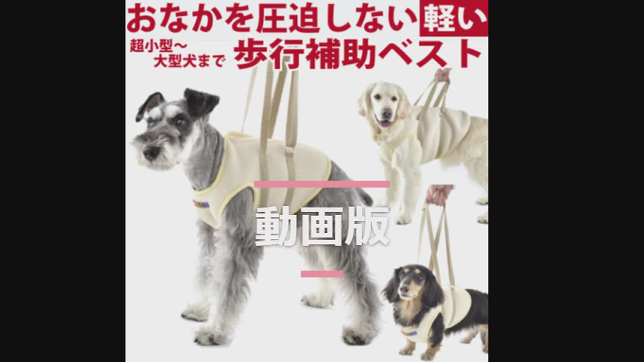 WHCY 犬 介護用ハーネス 介護 歩行補助 ハーネス メッシュ