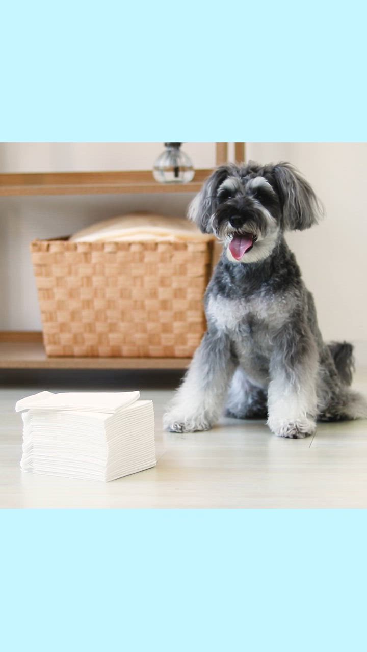 ペットシーツ ワイド レギュラー スーパーワイド 800枚 400枚 200枚 ペットシート 犬 薄型 厚型 トイレシート 猫 大容量 業務用 多頭飼い ペットトイレ | WEIMALL | 24