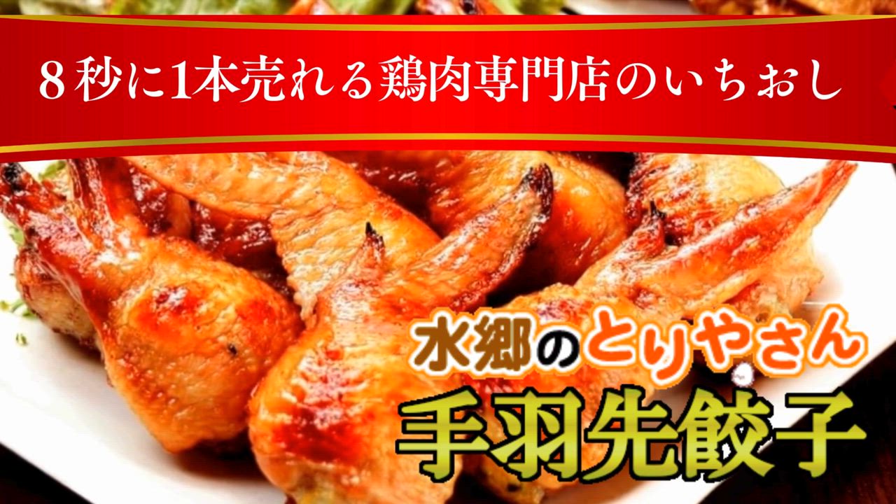 餃子 手羽餃子５本セット 点心 手羽先餃子（鶏手羽） お取り寄せグルメランキング１位受賞 あすつく リュウジのバズレシピ エールマーケット | 水郷のとりやさん | 16