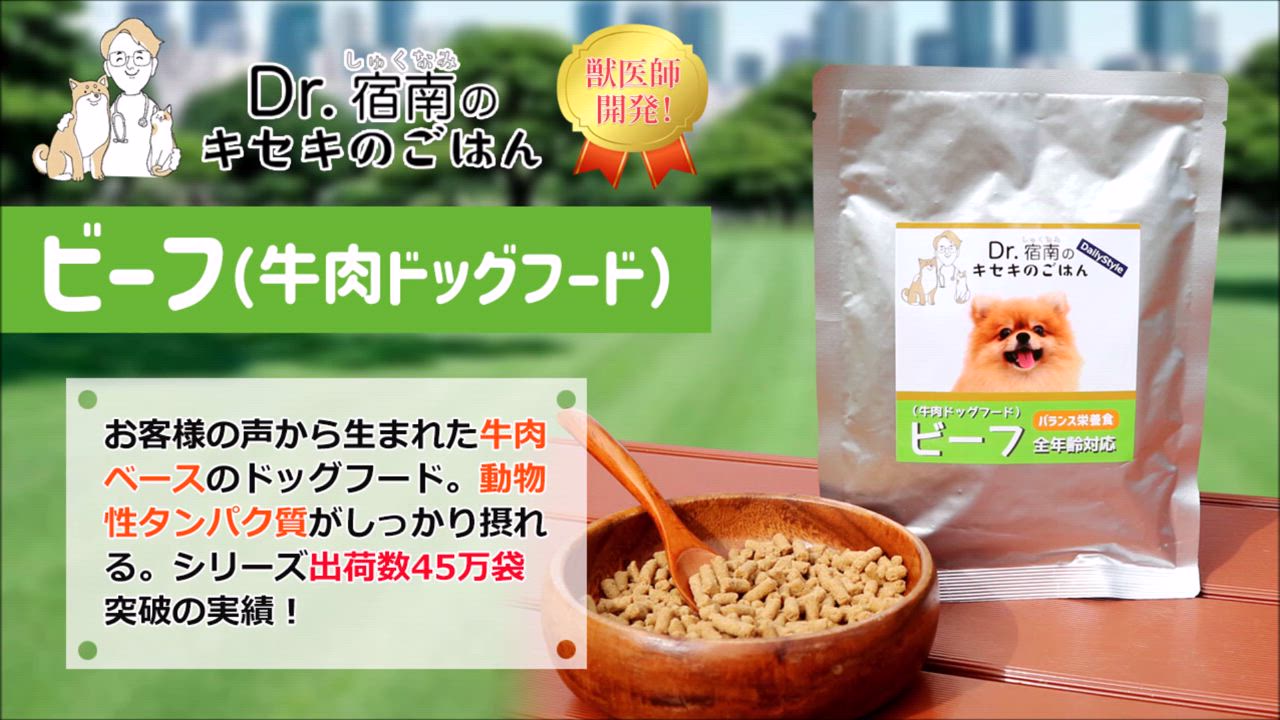 Dr.宿南のキセキのごはん 犬用ドッグフード Daily Style ビーフ