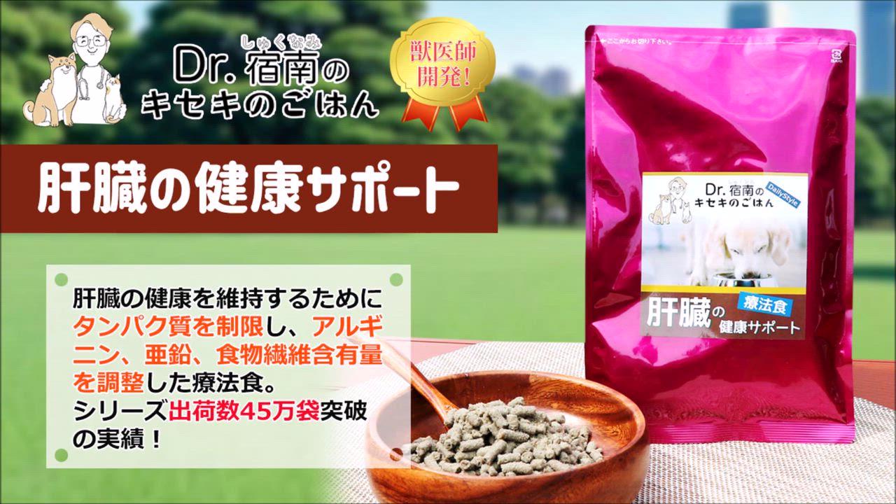 Dr.宿南のキセキのごはん 犬用療法食・肝臓の健康サポート 3袋