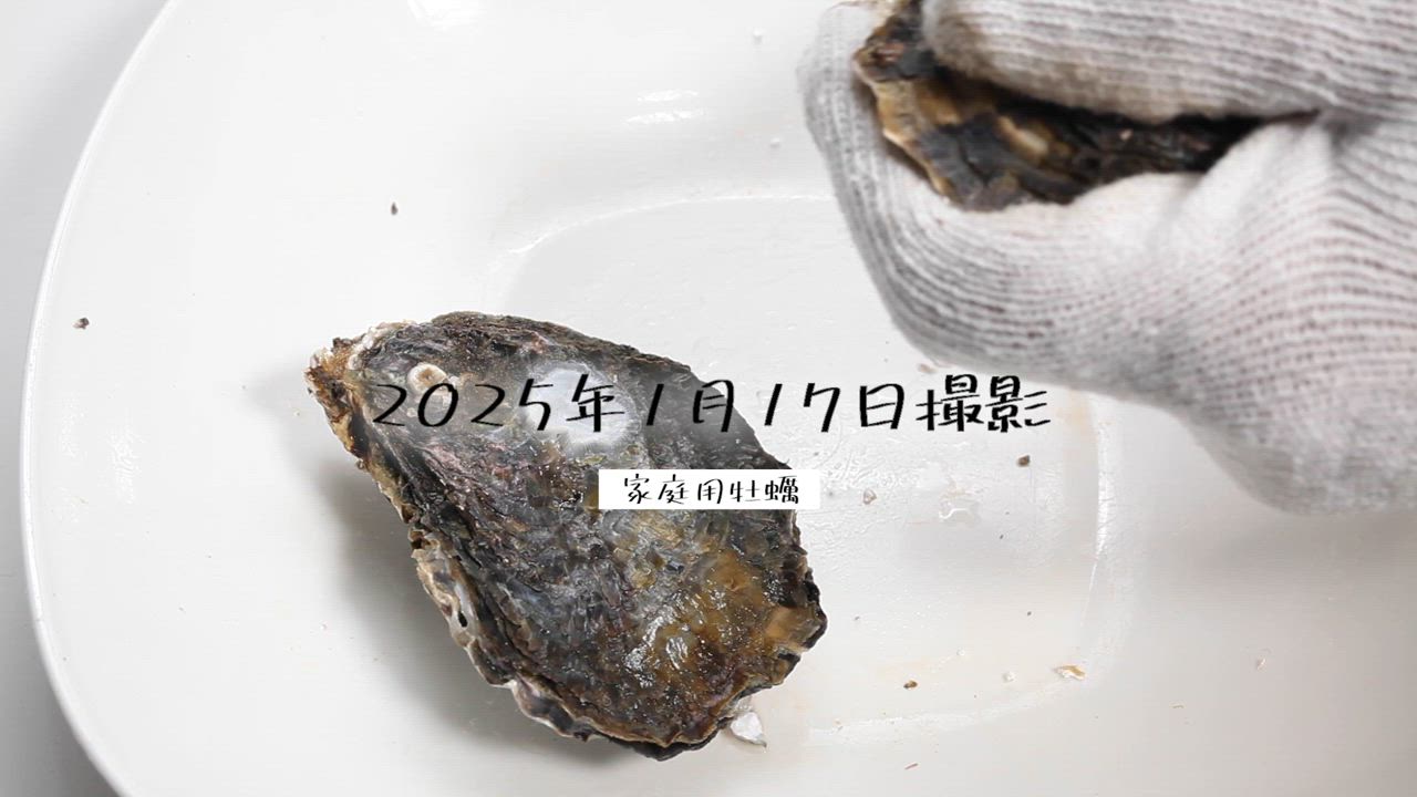 牡蠣 殻付き 訳あり 家庭用 岡山 日生 カキ 一斗缶 100個前後 約