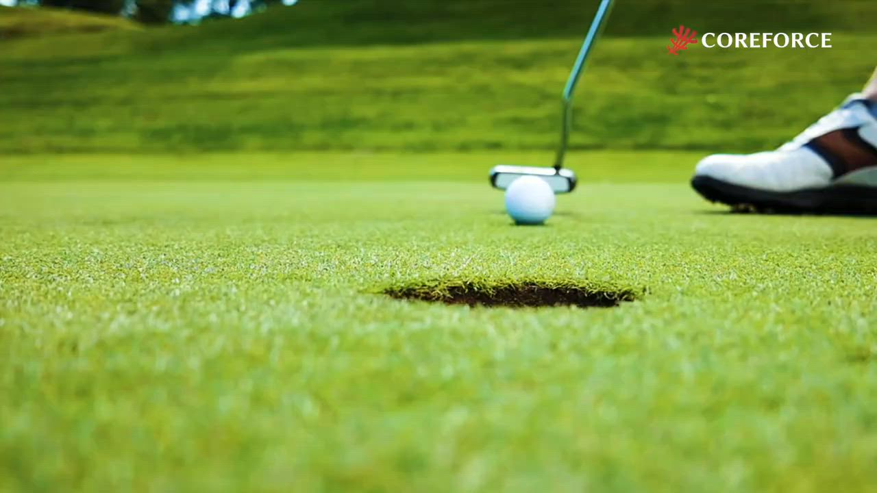 コアフォースループ ホワイト SUS70 70cm コアフォース COREFORCE ネックレス ゴルフ用品 スイング 飛距離 ブレスレット | COREFORCE | 21