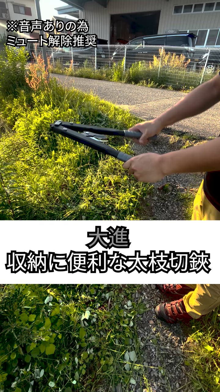 【24時間以内発送】あおぎり高校 8枝デッキ　枝門用パーツ付き 24時間以内発送】あおぎり高校 8枝デッキ 枝門用パーツ付き 24時間