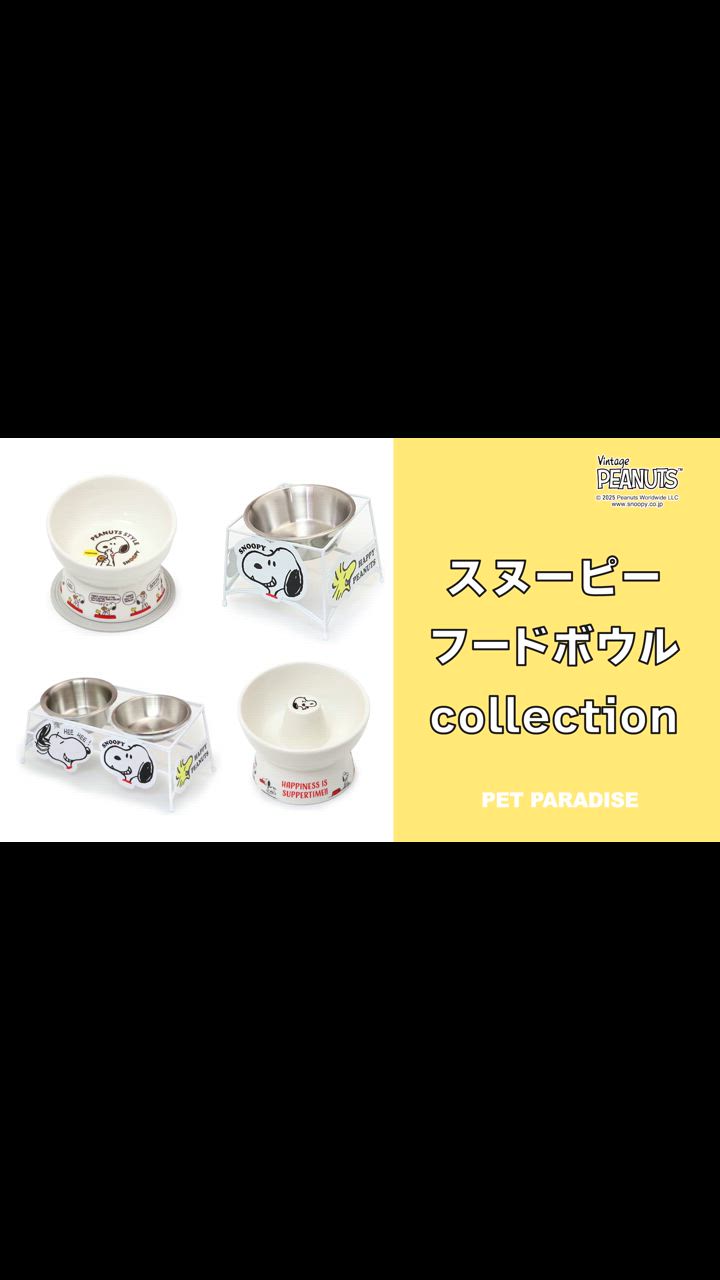 値下げ　レア　貴重　未使用品　スヌーピー 陶器製犬用食器 約19cm SNOOPY 犬 猫 陶器 食器スタンド 食器台 小型犬 フードスタンド