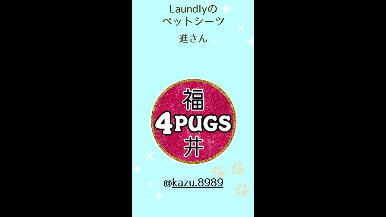 ペットシーツ ワイド レギュラー800枚 ペットシート 犬用トイレ ペットトイレ 薄型  厚型  大容量 おシッコシート 犬 | Laundly | 25