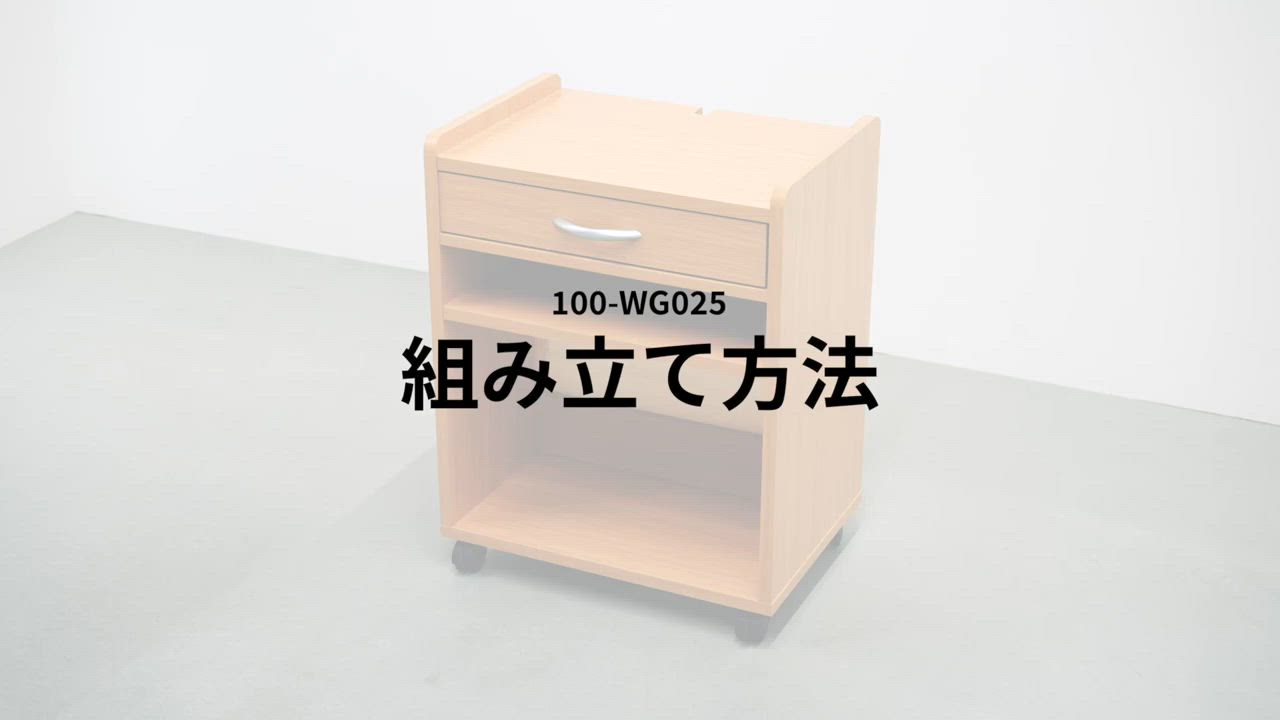 SANWA SUPPLY ファイルワゴン 2段 キャスター付き 引き出し A4