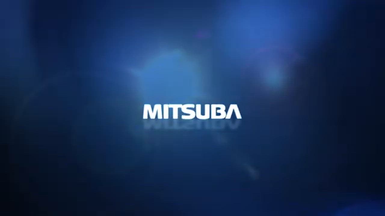 MITSUBA ミツバサンコーワ SA-01+SA-02 ホーン型キーホルダー アルファーII アリーナIII モチーフ セット サウンド再現 | MITSUBA | 01