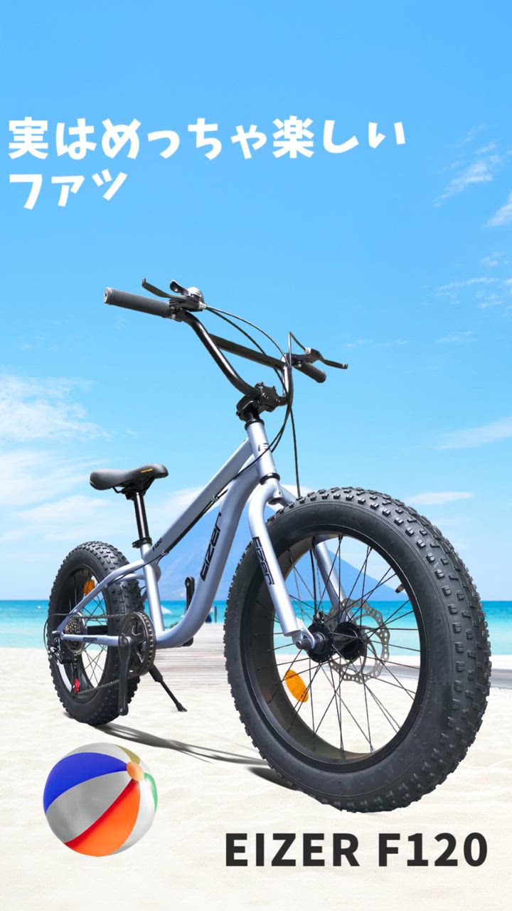 限定価格 新品未使用 砂浜や雪道も走れる電動アシスト自転車 限定価格 新品未使用 砂浜や雪道も走れる電動アシスト自転車