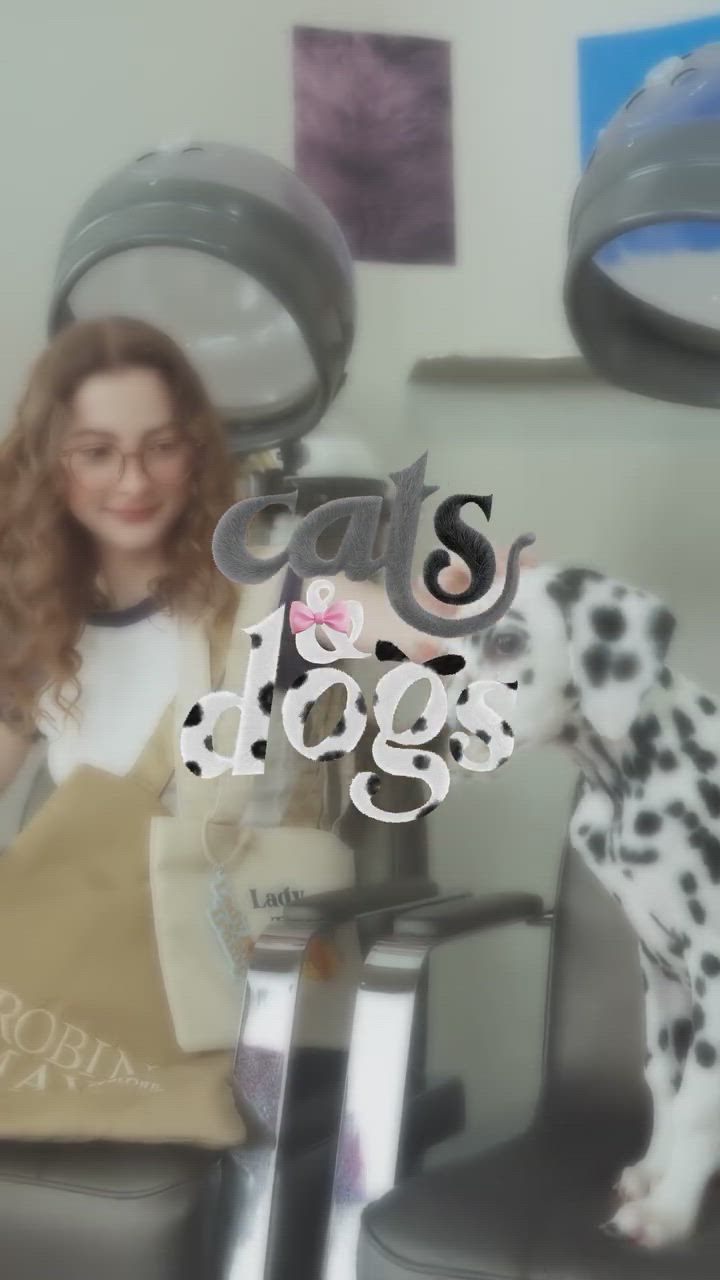 ★ROBINMAY Disney Cats & Dogs 折り畳み ミニウォレット/送料込 楽天市場】保証付 返品OK 正規品 2024 ROBINMAY ロビンメイ L127
