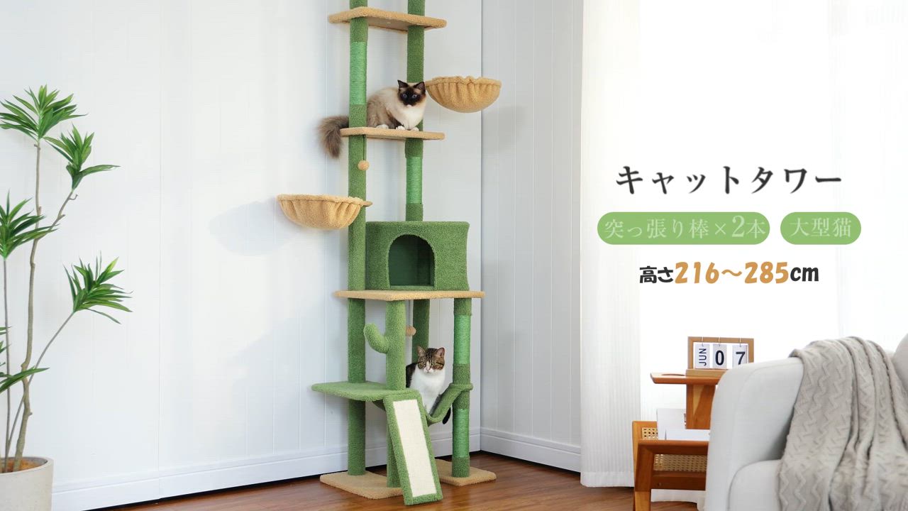 キャットタワー 突っ張り スリム 多頭飼い サボテン コンパクト つっぱり ◎ 送料無料 キャキャットタワー 突っ張り スリム 多頭飼い