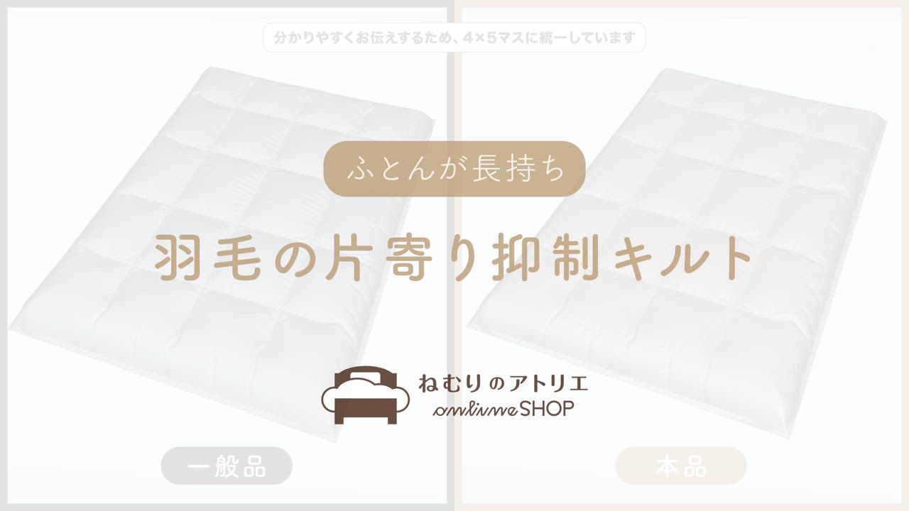 ロマンス小杉 羽毛布団 2枚セット 洗える クイーン 羽毛が片寄ら
