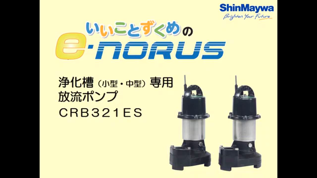 新明和 浄化槽用 水中ポンプ 自動型 自動交互型 排水ポンプ