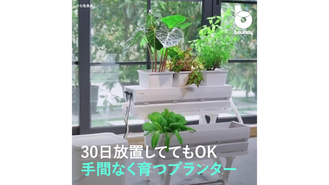 30日放置しててもOK！ 手間なく育つプランター「LetPot」 - bouncy / バウンシー | Yahoo! JAPAN