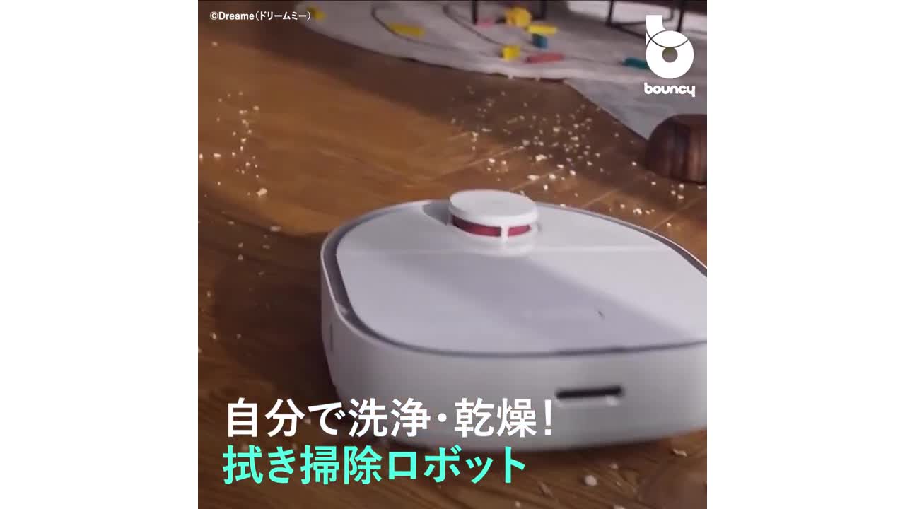 未使用 Dreame Bot W10ロボット掃除機 Alexaスマートホーム+
