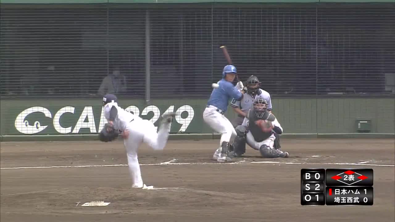 元日本ハムファイターズ】王 柏融選手 実使用バット 野球 バット