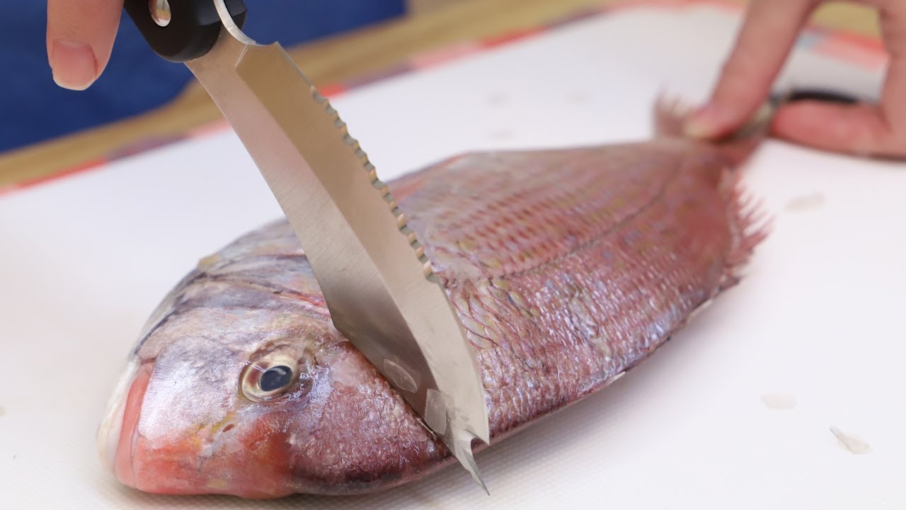 【どんな魚も】簡単に3枚おろし「サカナイフ」【これ一本】 - Moovoo(ムーブー) | Yahoo! JAPAN