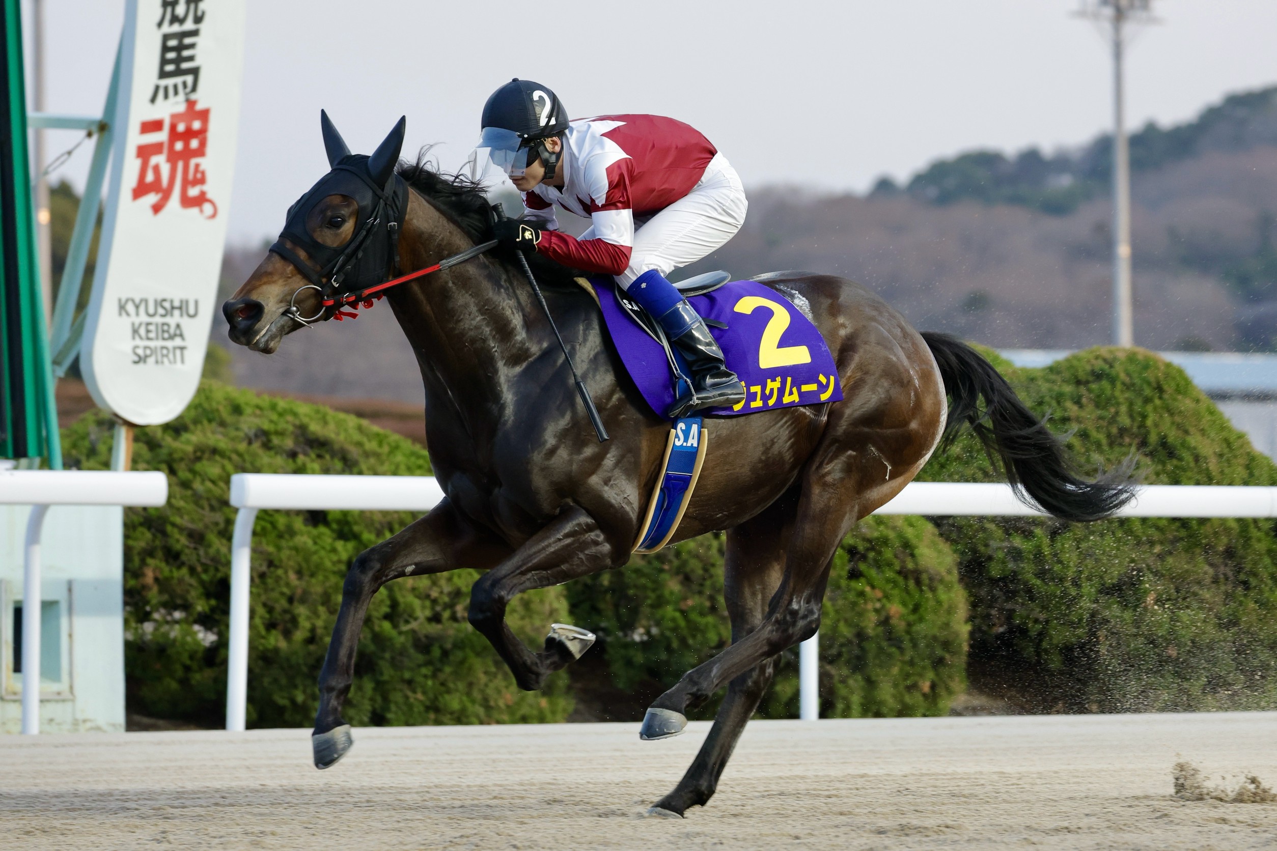 【佐賀競馬】第2回 ネクストスター西日本（2025.3.23）