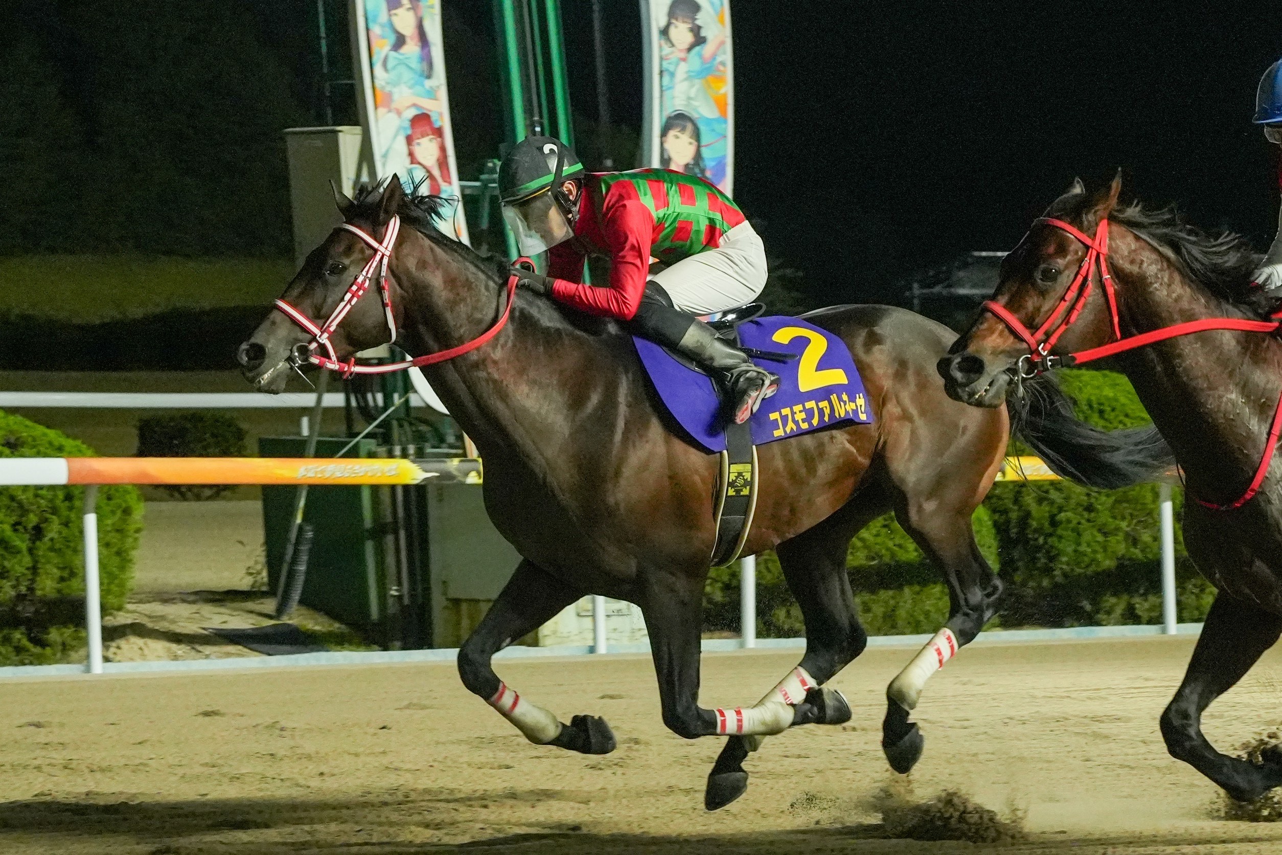 【佐賀競馬】第27回九州大賞典（2025.11.2）