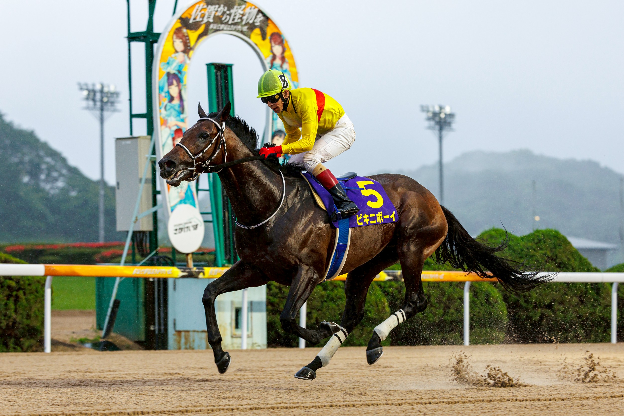 【佐賀競馬】第8回 佐賀王冠賞（2025.6.15）