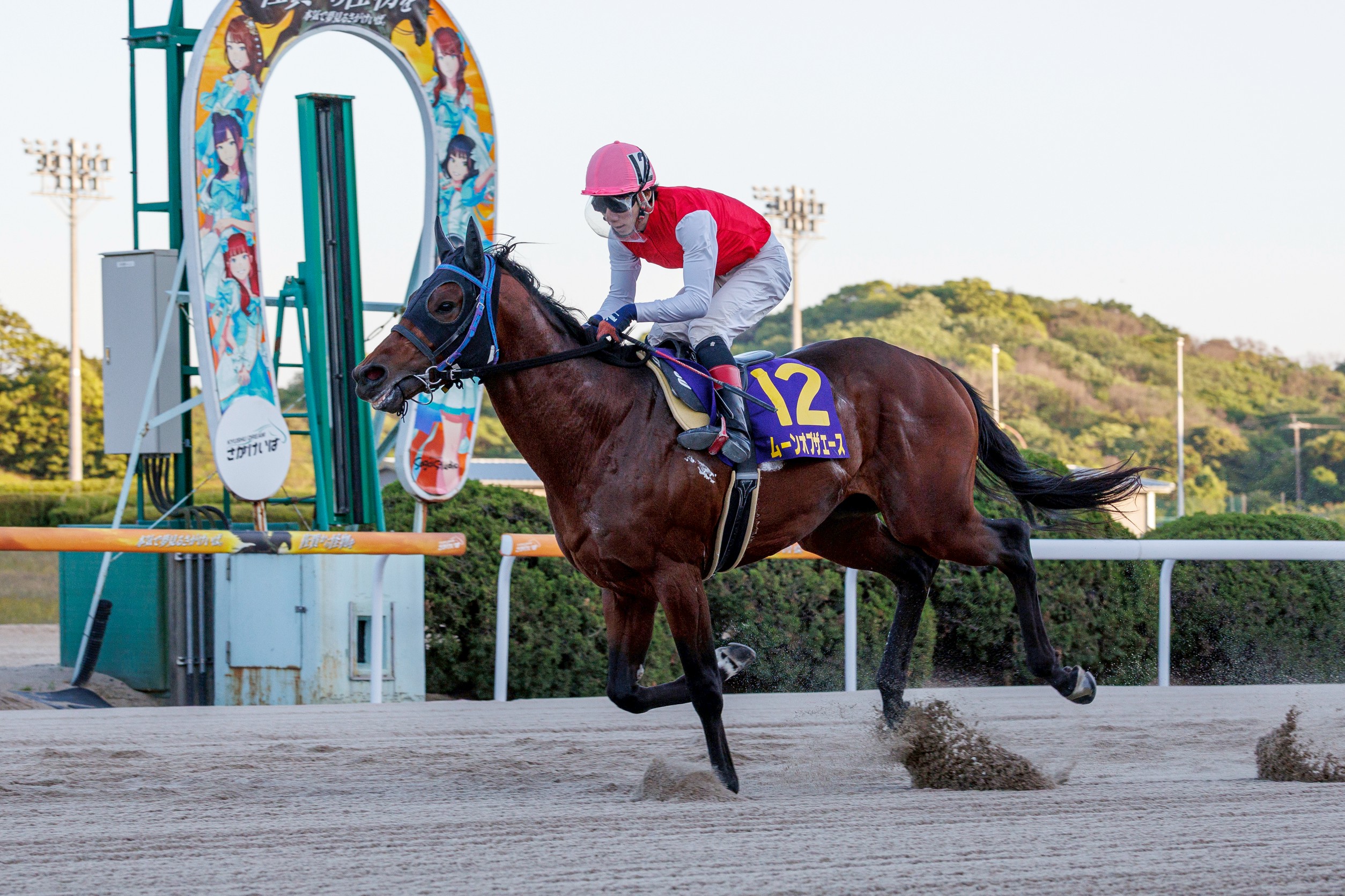 【佐賀競馬】第13回 佐賀皐月賞（2025.5.4）