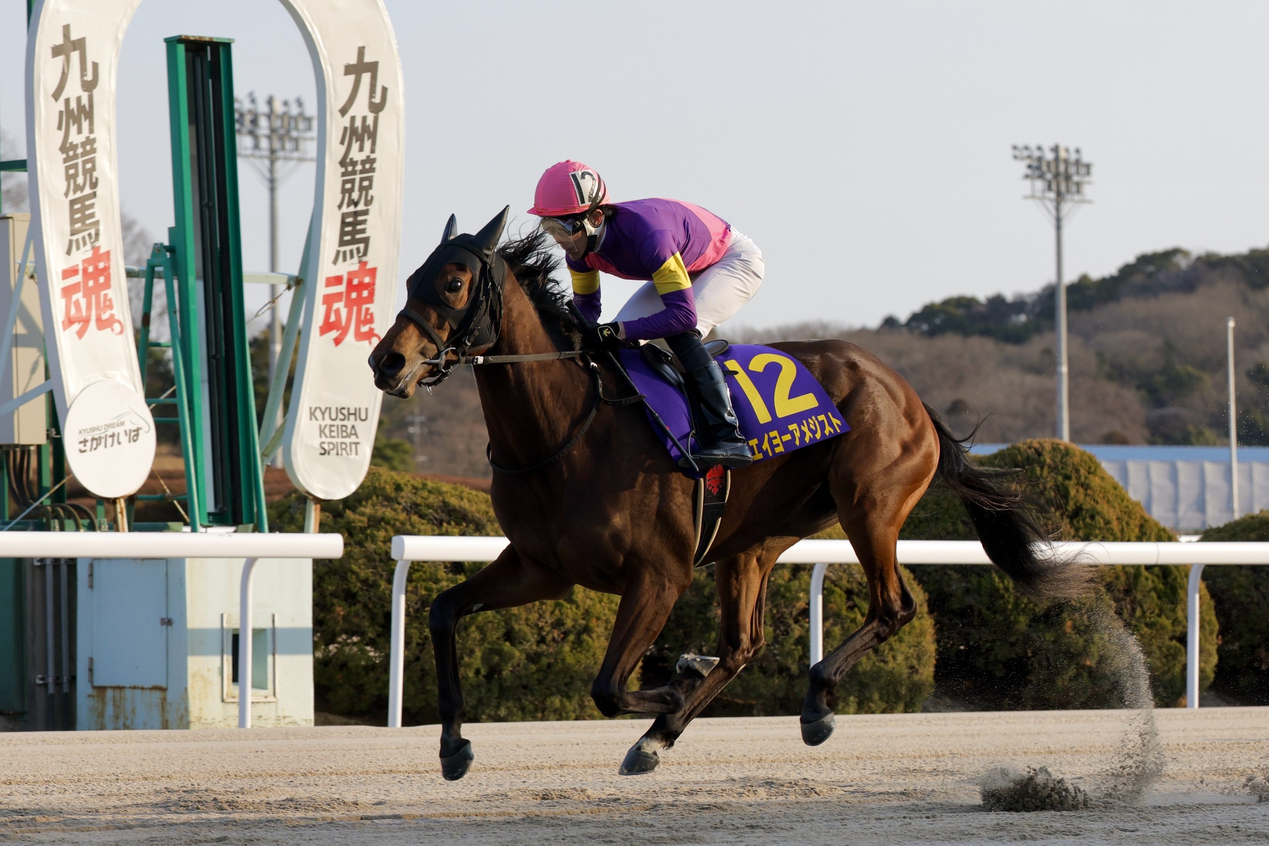 【佐賀競馬】第29回 たんぽぽ賞（2025.2.20）