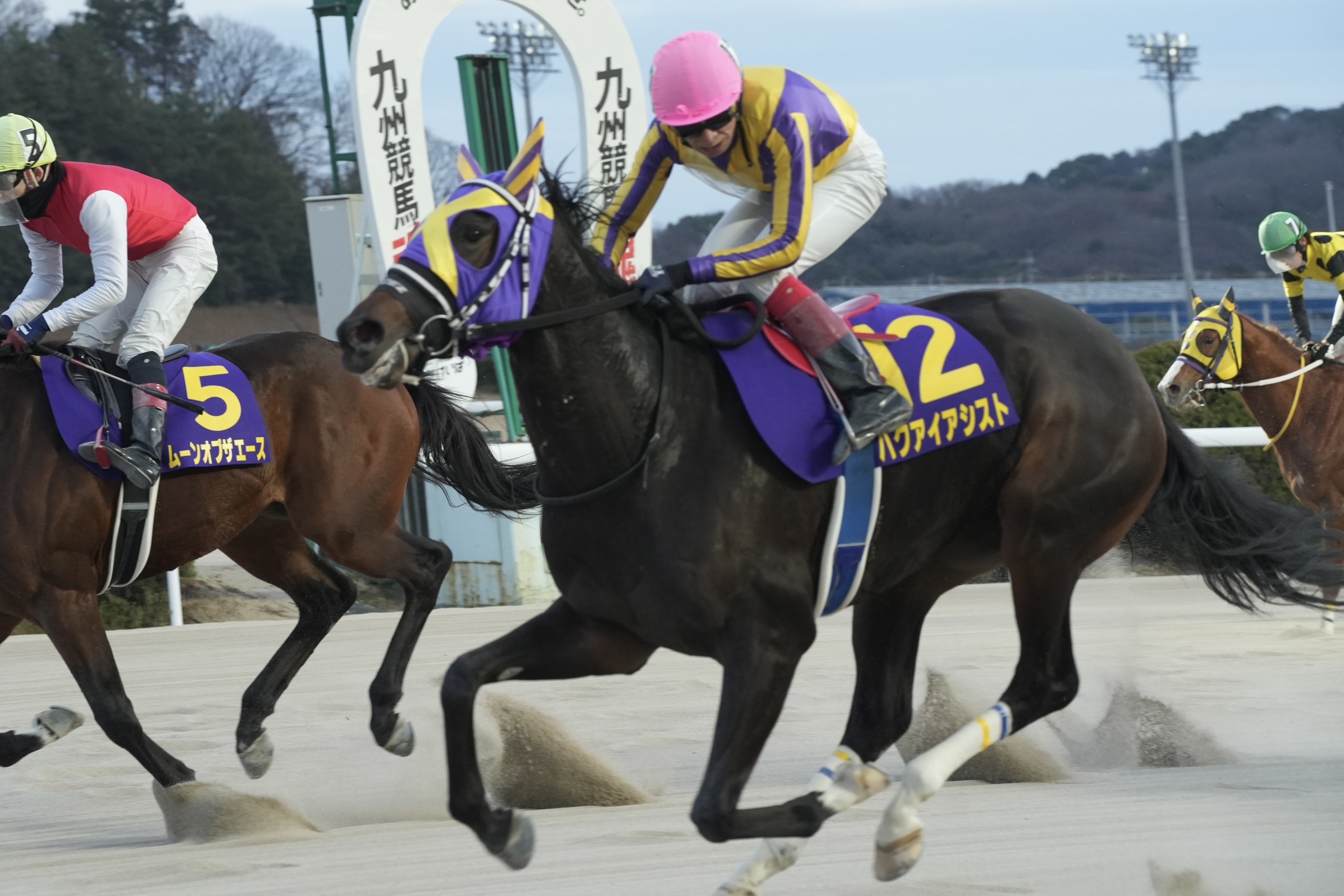 【佐賀競馬】第2回 佐賀若駒賞（2025.1.5）