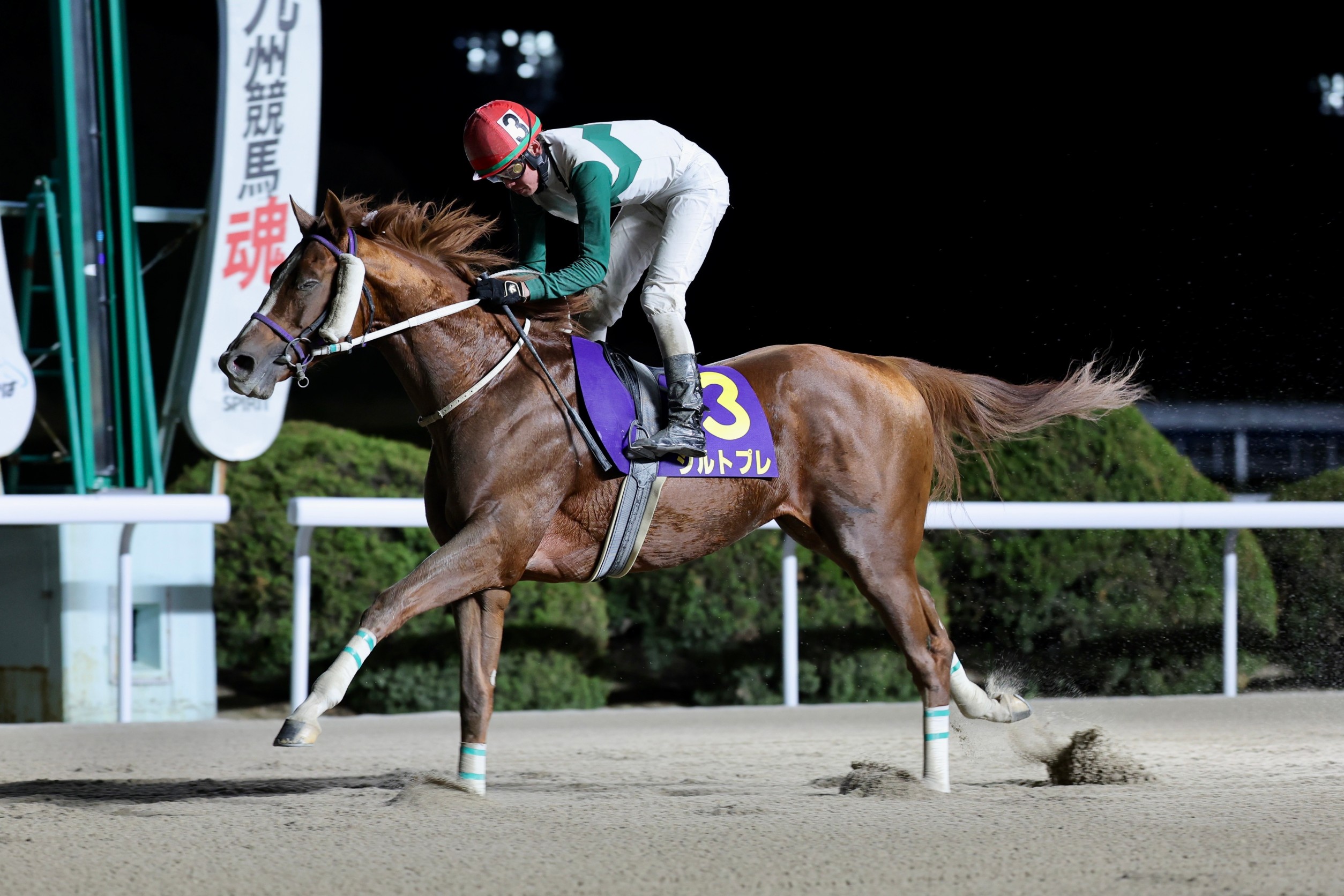 【佐賀競馬】第40回 中島記念（2024.12.22）